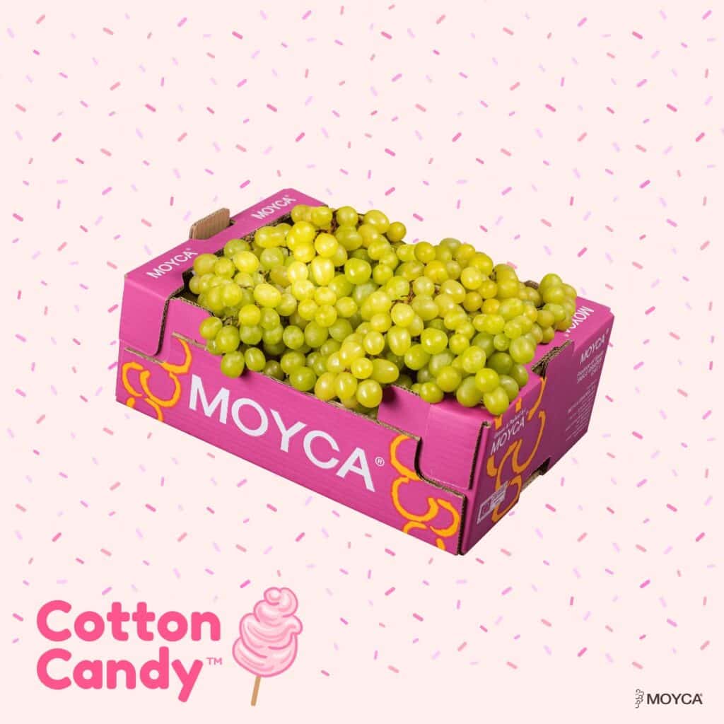 uvas Cotton Candy