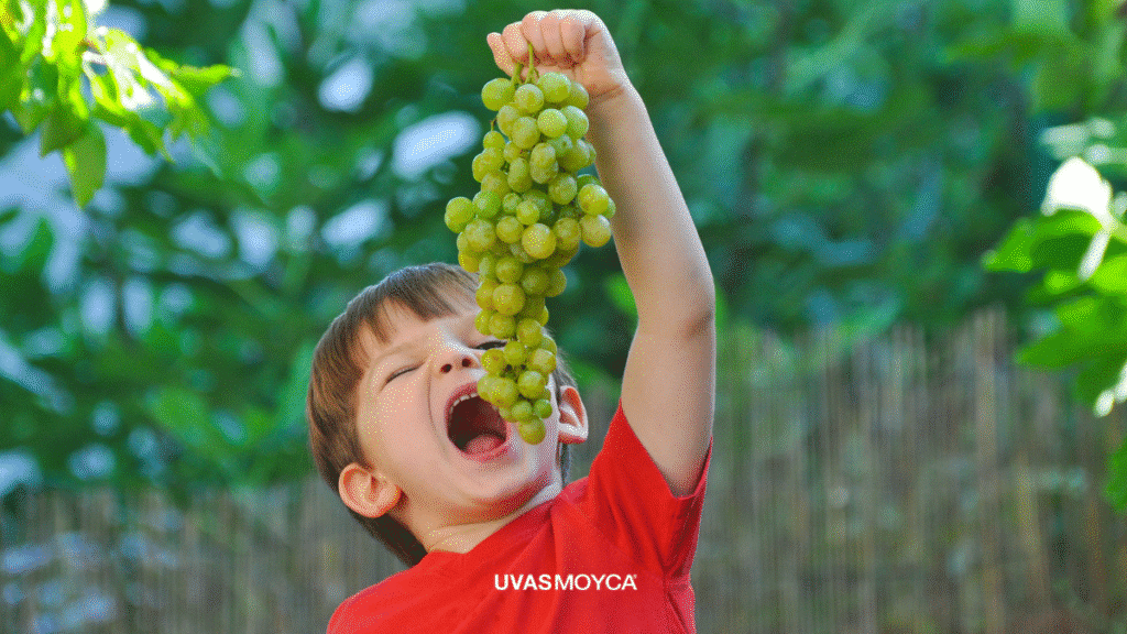 Por qué unas uvas “crujen” y otras no