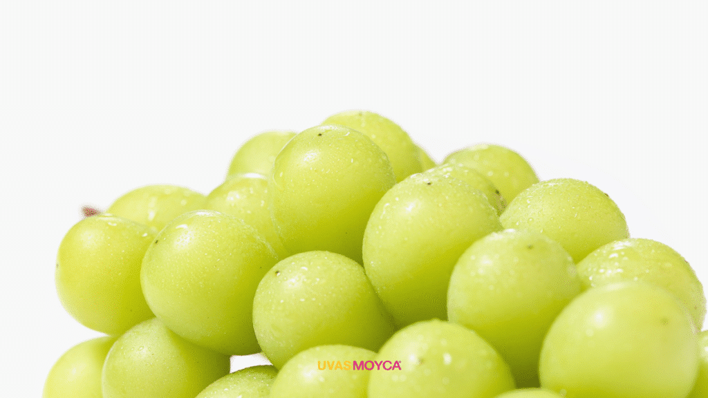 Antioxidantes naturales en la uva