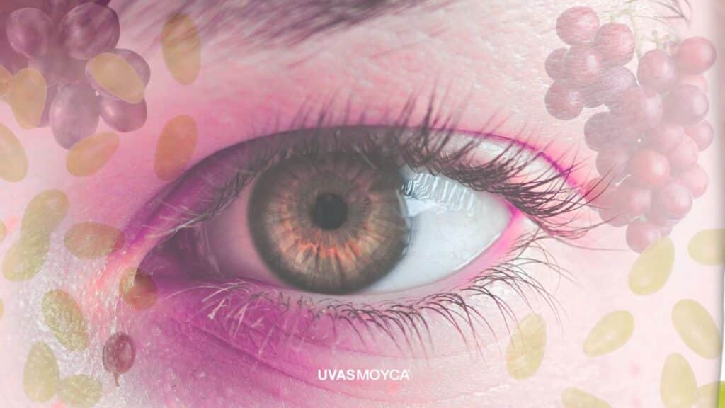Uvas y salud ocular